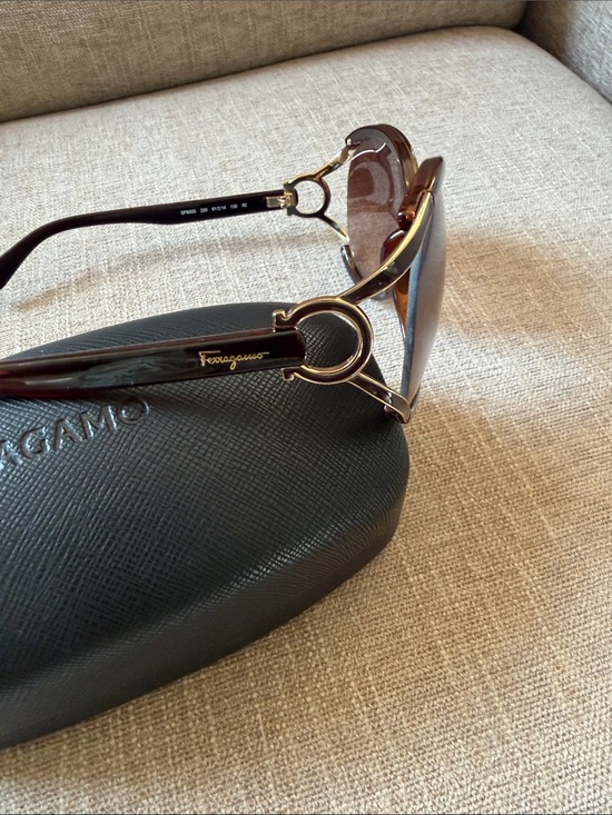 Salvatore Ferragamo Brown Gradient Oversized Women\'s Sunglasses main image 5